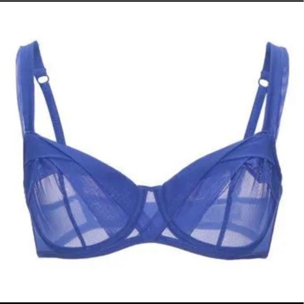 Blue Mesh Underwire Bra